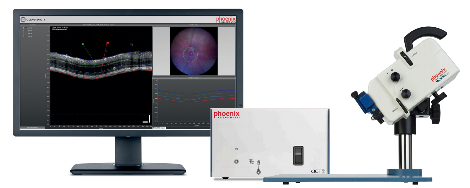 Phoenix MICRON IV with OCT attachement and InSight software