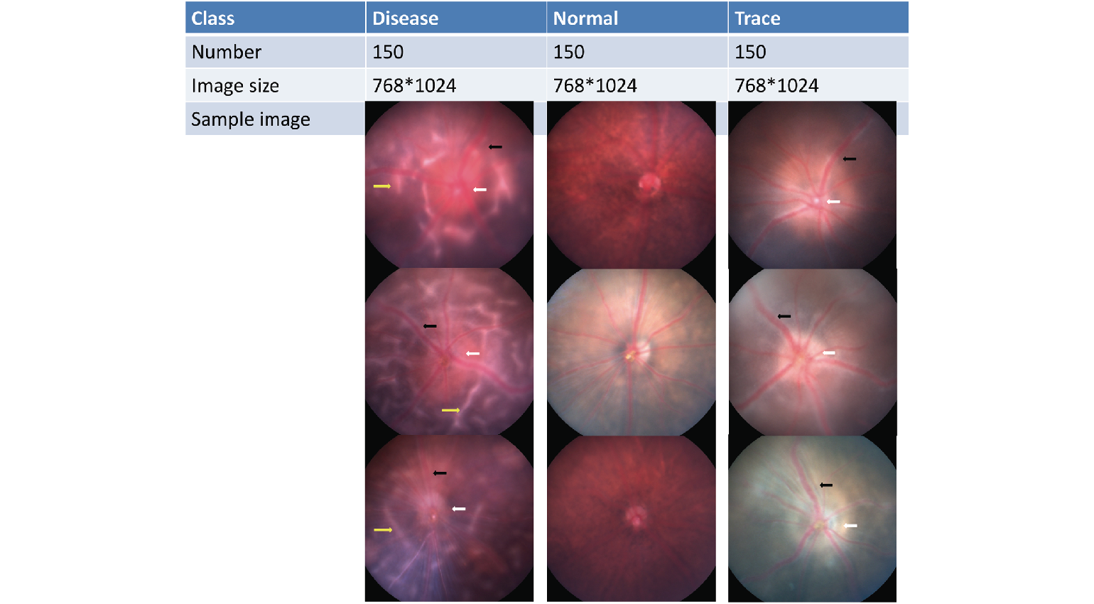 sample of the 1500 mouse fundus images used for research