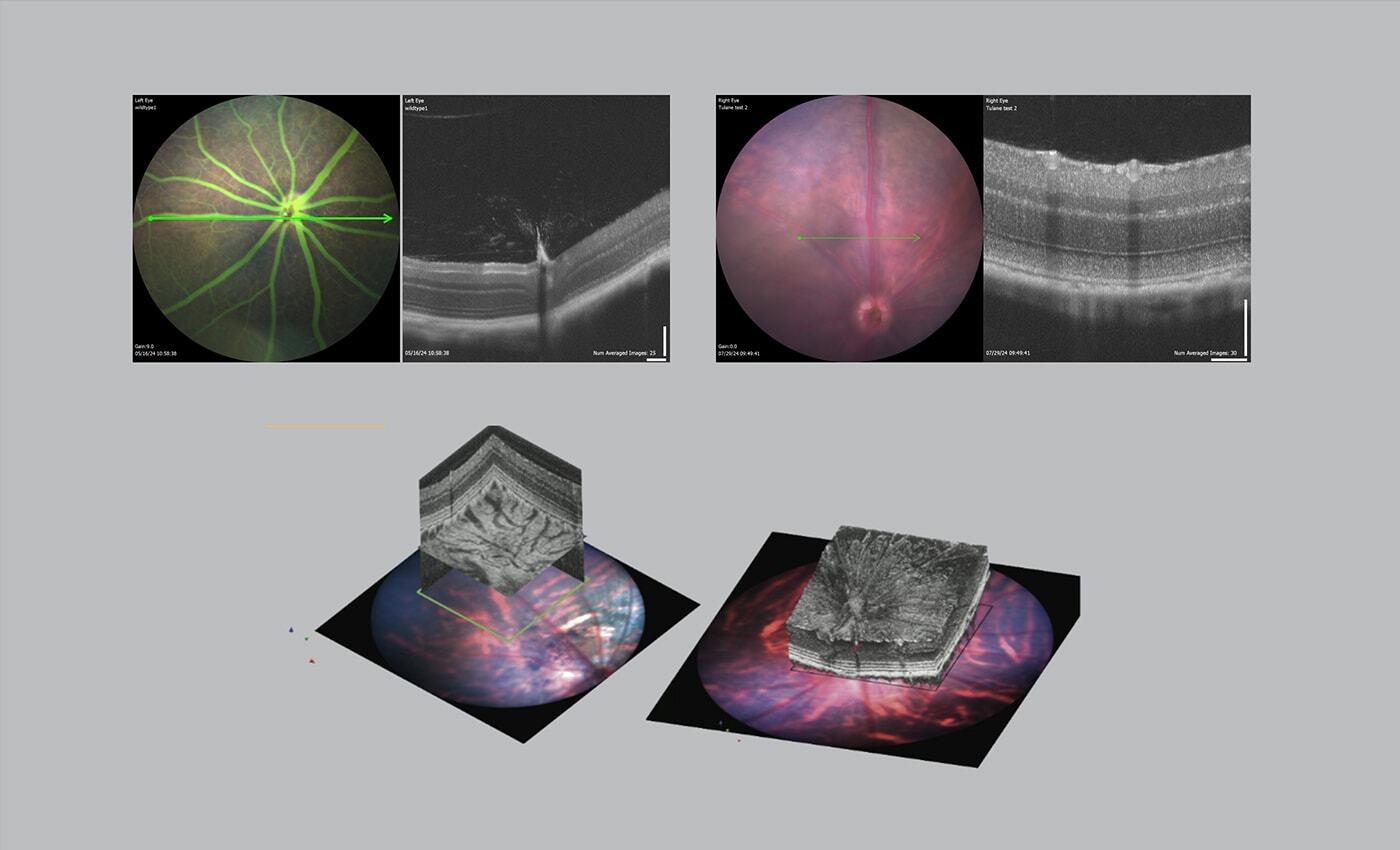 Image 1 Image 1