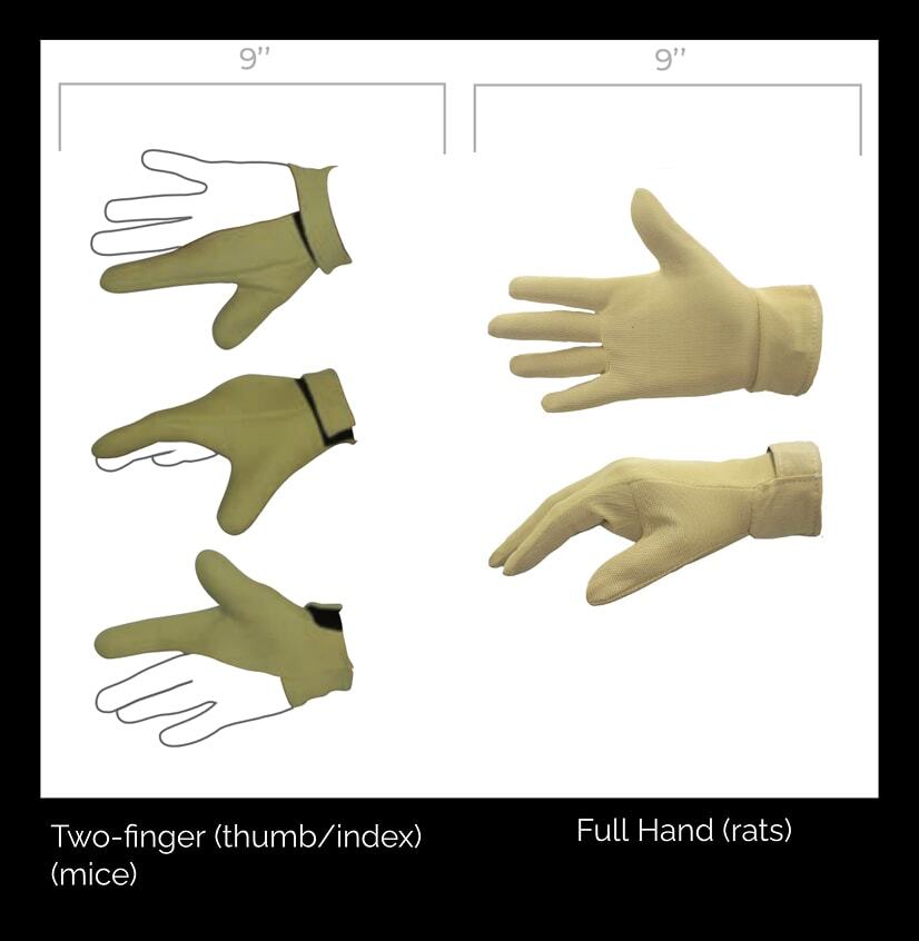 Image 2 Image 2