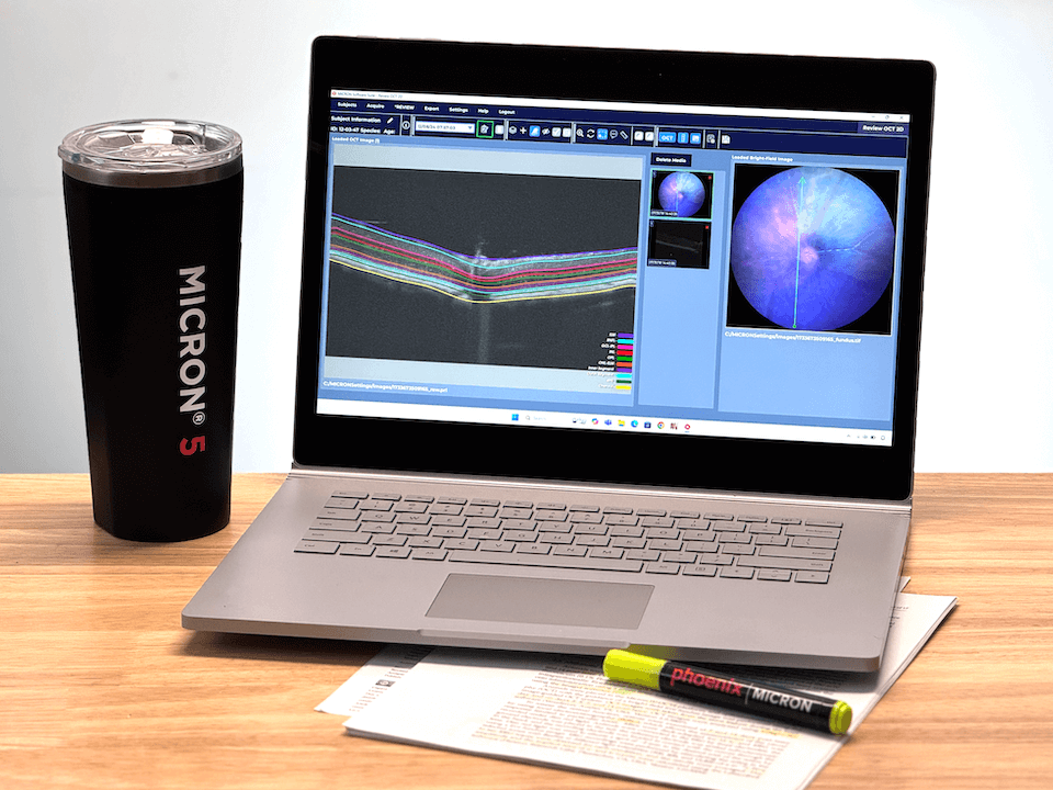Micron Review Station